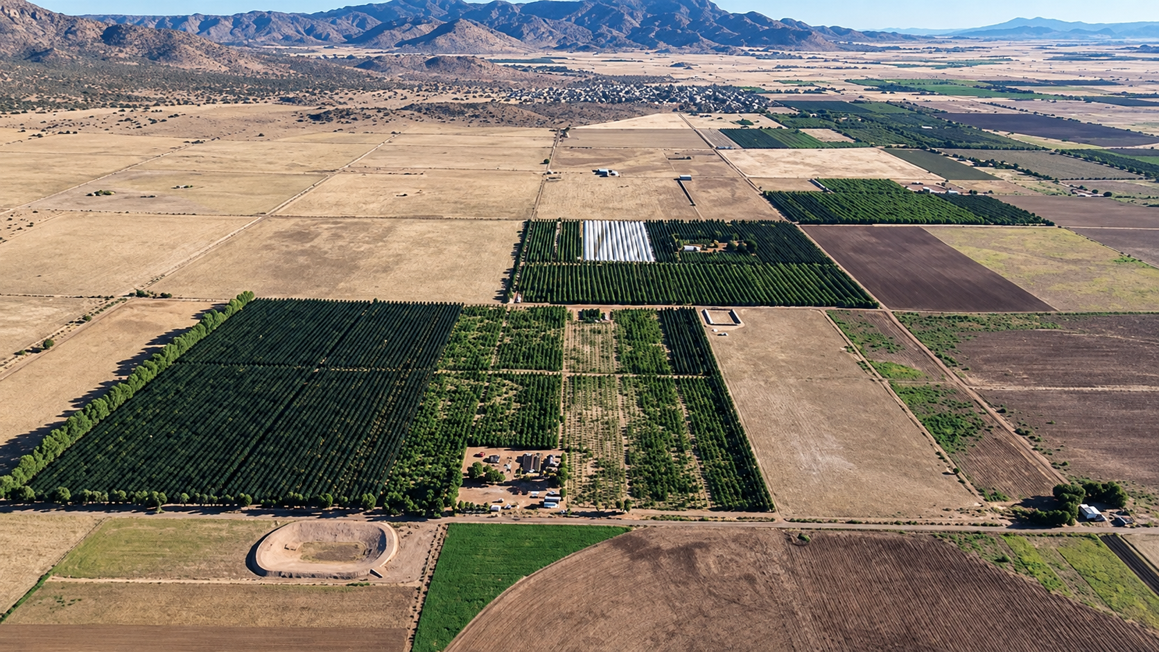 Vista aérea de la huerta y el territorio de Namiquipa