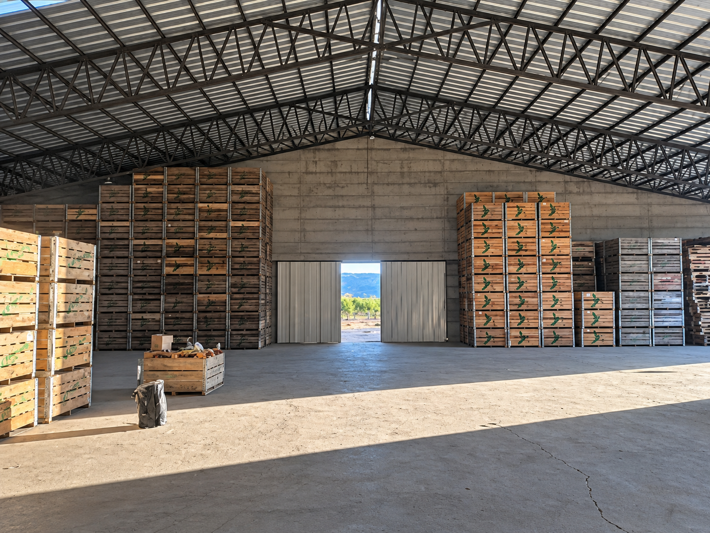 Interior de bodega con cajas de cosecha almacenadas